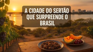Petrolina surpreende no Vale do São Francisco com turismo cultural, vinícolas, Bodódromo e o Rio São Francisco como motor econômico.