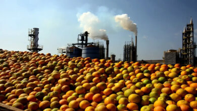 Limeira, não é só a