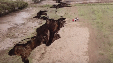 cientistas testemunham o nascimento de um novo oceano