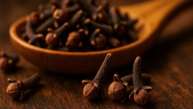 No Brasil, o Dr. Fernando Lemos explica que até quatro cravos-da-índia por dia fortalecem a memória, combatem fungos e aliviam dores, desde que consumidos com moderação e atenção às contraindicações.