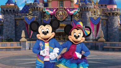 Fim do sonho? Disney decide mudar regras e brasileiros podem sofrer