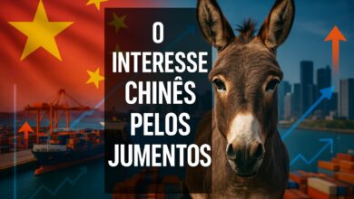 Jumentos, China, Ejiao