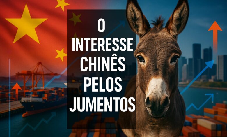 Jumentos, China, Ejiao