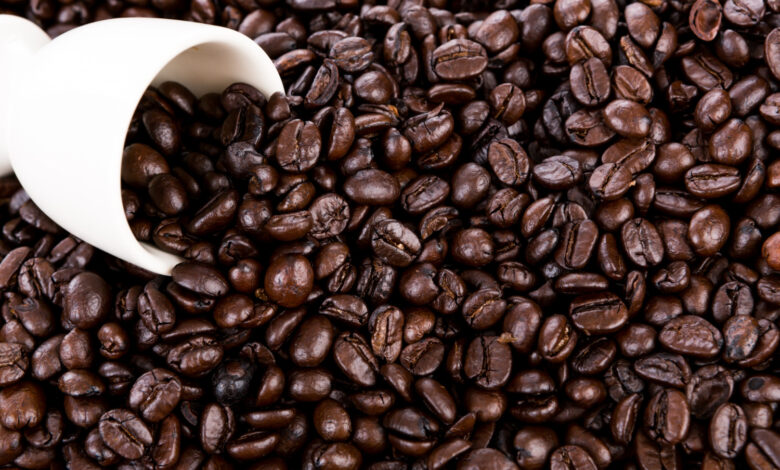 Estudo prevê queda nos preços do café ainda este ano; veja o que esperar