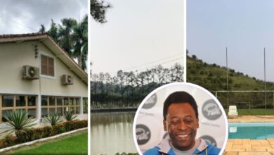 Rei Pelé, Fazenda, Gado, Fazenda do Rei Pelé