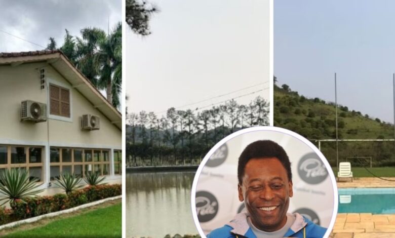 Rei Pelé, Fazenda, Gado, Fazenda do Rei Pelé