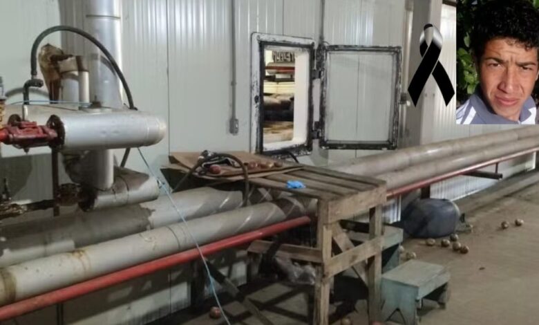Funcionário é Encontrado Sem Vid4 Dentro de Câmara Fria e O Que Foi Descoberto Ao Lado Dele… Ver mais