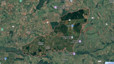 Fundada há apenas 29 anos, a pequena Gavião Peixoto (SP) superou capitais como Brasília, Goiânia e São Paulo, alcançando a melhor qualidade de vida do Brasil segundo o IPS Brasil, com forte peso da presença da Embraer e da produção de caças Gripen.