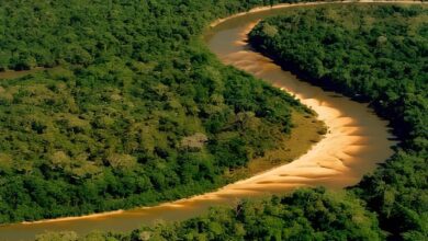 Ilha do Bananal: território quase do tamanho de Israel no coração do Brasil, com 20 mil km² de extensão e reconhecida como a maior ilha fluvial do planeta