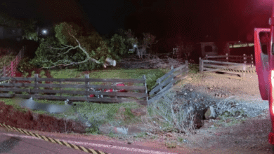 Jovem de apenas 18 anos não resiste após gr4ve ocorrência de moto em SC... Ver mais