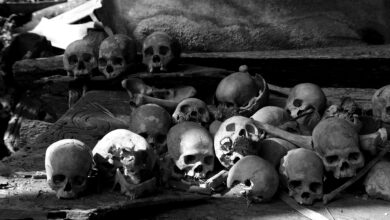 Loja de departamentos escondia pesadelo: 317 esqueletos enterrados