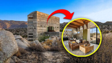 Mansão de Concreto no deserto avaliada em R$ 8,5 milhões tem seu interior luxuoso revelado, janelas de 6x3, garagem subterrânea e oficina