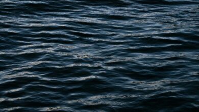 Algo inédito aconteceu pela 1ª vez em 40 anos, e pode ser um aviso sombrio para o planeta