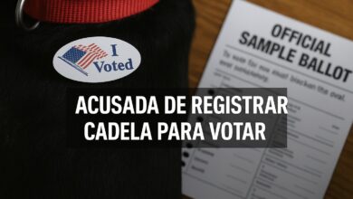 Cadela, Voto, Mulher, Acusação