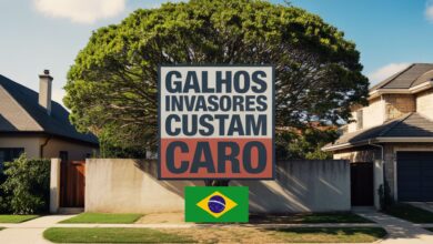 STJ mantém multa de R$ 10 milhões a herdeiros por descumprir ordem de poda na Lagoa Rodrigo de Freitas após 40 anos de disputa.