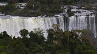 As Cataratas do Iguaçu sempre foram um dos destinos mais visitados do Brasil e chamam a atenção de turistas do mundo todo