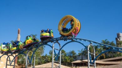 Este parque escondido é o destino perfeito para os preços exorbitantes da Disney