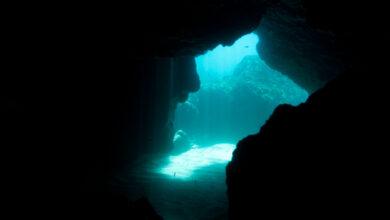 encontraram uma ‘besta do mar’ com três olhos escondida há 500 milhões de anos