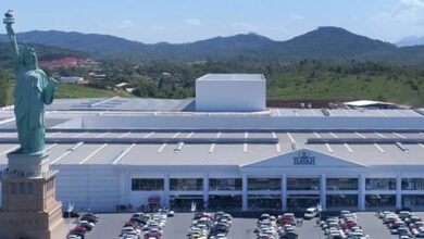 Estátua da Havan, Havan, Estátua