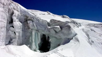 Não é mais possível garantir a sobrevivência