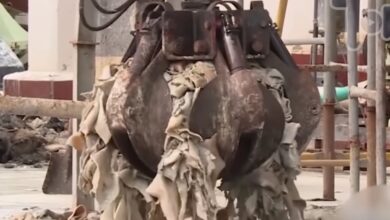 15 alimentos populares feitos com sobras, corantes e conservantes, segundo vídeo