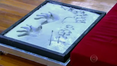 Foto: Reprodu&ccedil;&atilde;o/Video Show (Globo)