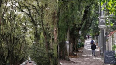 Rua mais bonita do mundo, Rua, rua Gonçalo de Carvalho