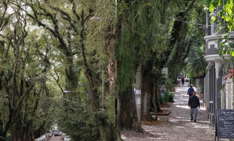 Rua mais bonita do mundo, Rua, rua Gonçalo de Carvalho
