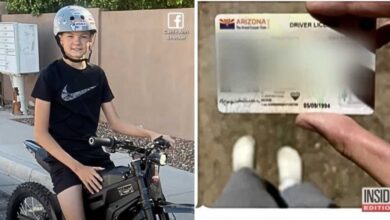 Bicicleta elétrica, Carteira