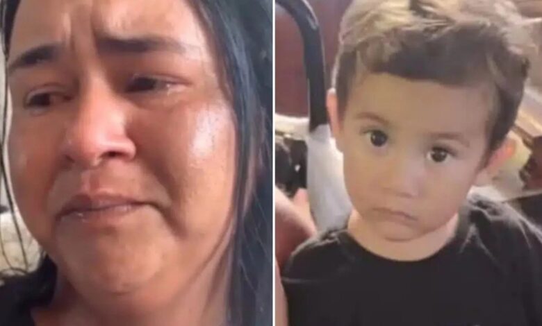 Avó do menino de 2 an0s que des4pareceu no Paraná vem a público e revela: ‘minha filha…Ver mais