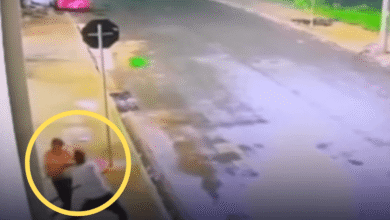 Esposa afirma à polícia que o marido m0rreu após brig4 em bar, mas câmeras revelam o inacreditável… Ver mais