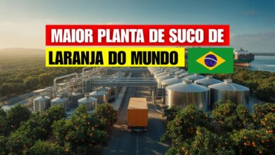 A Citrosuco opera em Matão (SP) a maior planta de suco de laranja do mundo, com terminais globais e frota marítima própria.