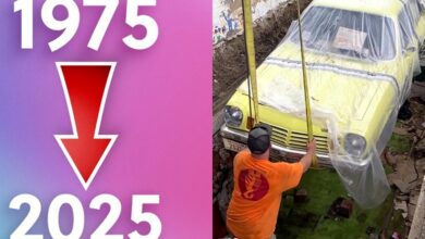 Capsula do tempo, Carro, Chevrolet Vega