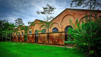A maior colônia japonesa do Brasil tem um portal Torii na entrada, celebra festivais milenares e mantém o idioma dos avós vivo nas plantações de chá