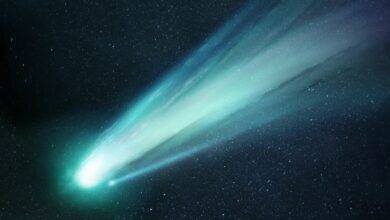 Cientistas investigam o cometa 3I/ATLAS, cujo aumento súbito de brilho e cor azul intensa desafia modelos conhecidos. O professor de Harvard analisa o fenômeno que pode redefinir teorias cometárias.