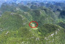 Nas montanhas de Guizhou, uma família mantém autossuficiência entre vales e cães fiéis, vivendo há décadas em harmonia com a natureza.