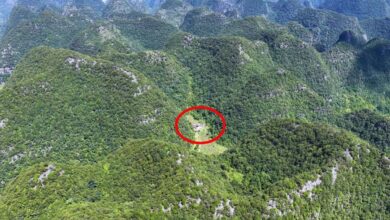Nas montanhas de Guizhou, uma família mantém autossuficiência entre vales e cães fiéis, vivendo há décadas em harmonia com a natureza.