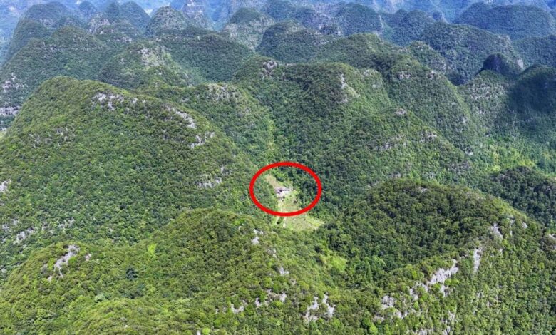 Nas montanhas de Guizhou, uma família mantém autossuficiência entre vales e cães fiéis, vivendo há décadas em harmonia com a natureza.