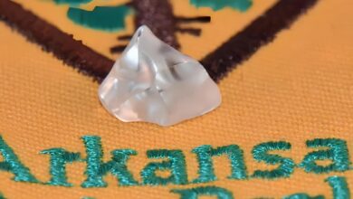 Homem encontra diamante de 3,81 quilates em parque público dos EUA, avaliado em centenas de milhares de dólares, e transforma passeio casual em descoberta histórica