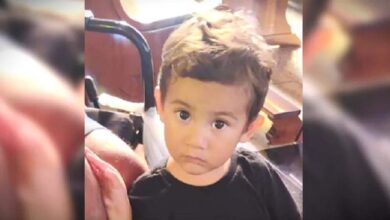 Foi divulgado que c0rpo do pequeno Arthur pode ter sido enven... Ver mais