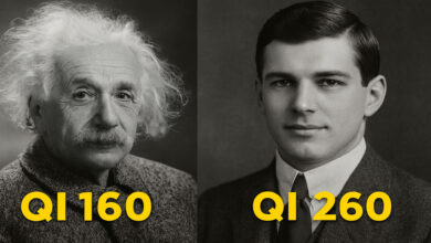 De gênio aos 11 anos em Harvard ao anonimato, jovem superdotado processou a imprensa e virou caso-chave porque queria trabalhos comuns longe dos holofotes