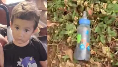 M4madeira de Bernard0 é encontrada ao lado de um pedaç0 de sua pe... Ver mais