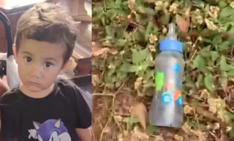 M4madeira de Bernard0 é encontrada ao lado de um pedaç0 de sua pe... Ver mais