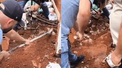 Mãe e padrasto confessam ter mat4do menin4 de 5 an0s e concretad0 c0rp… Ver +