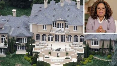 A mansão de Oprah Winfrey na Califórnia, conhecida como Terra Prometida, impressiona pelo jardim de rosas, pela casa de chá e pelos espaços de meditação que expressam equilíbrio e luxo com propósito.