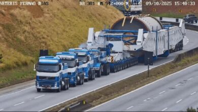 Megacarreta, Carreta