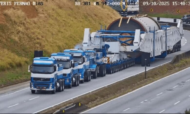Megacarreta, Carreta