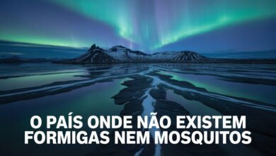 O país onde não existem formigas nem mosquitos: um território de clima extremo, natureza intocada e paisagens tão surreais que parecem de outro planeta