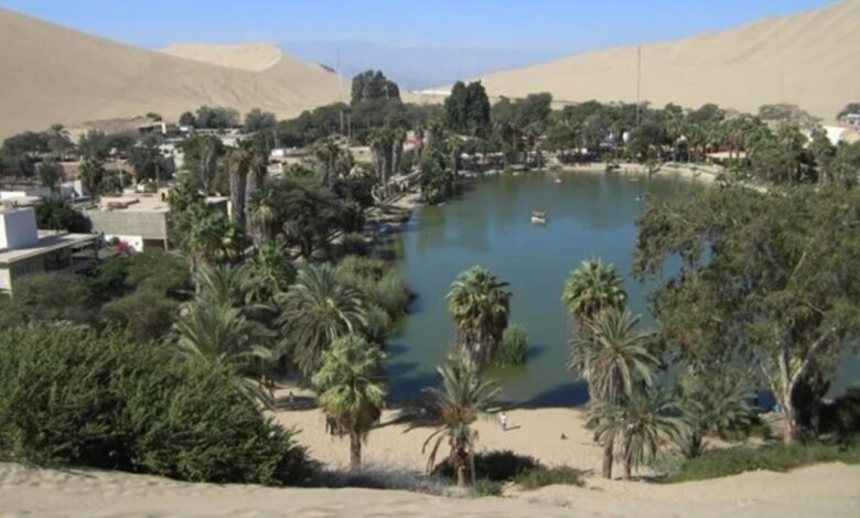Oásis, Deserto, Peru, Oásis no deserto