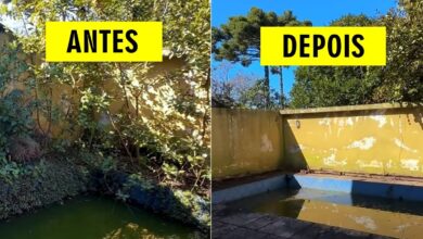 Canal de youtube mostra a restauração de uma piscina que passou 25 anos abandonada - veja como ficou o resultado final